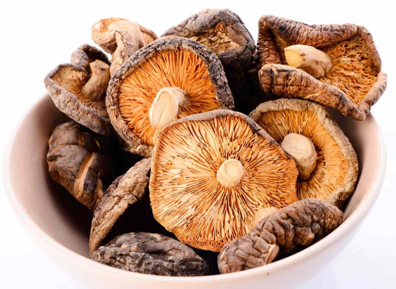 Dried Mushroom