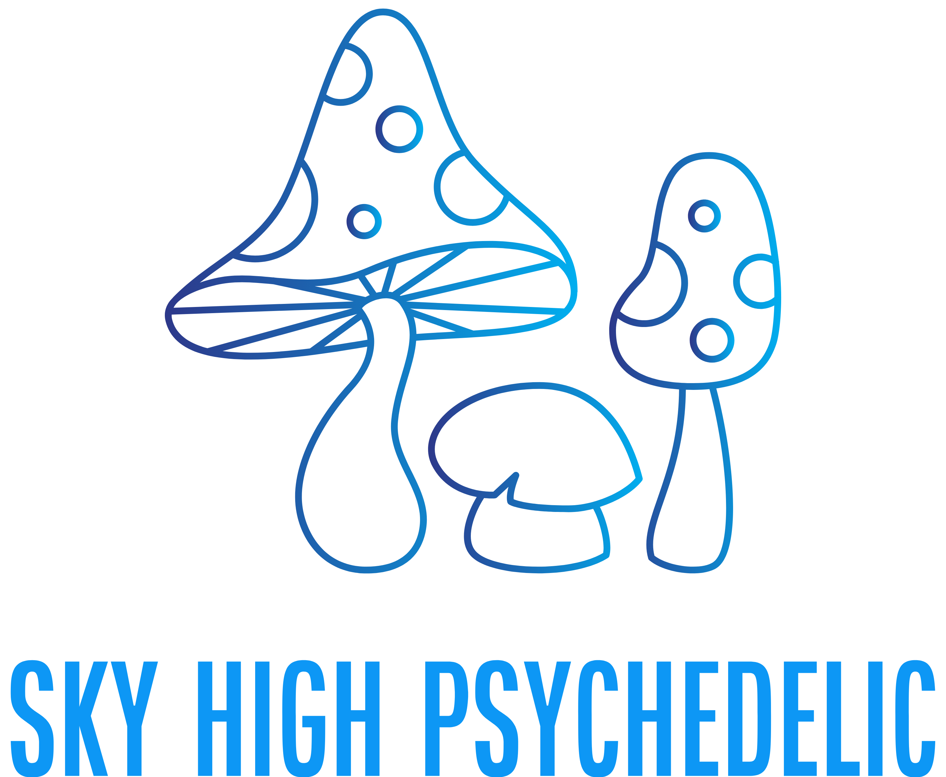 Sky High Psychedelic